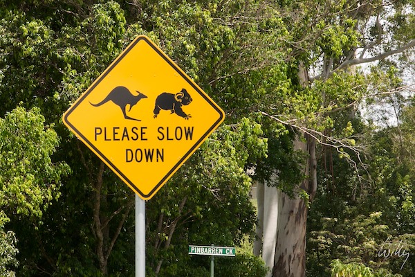 AustraliaEast 10  064